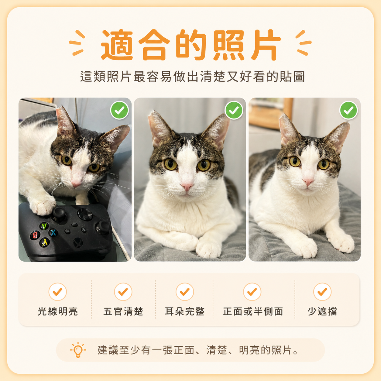 適合做貼圖的照片示意